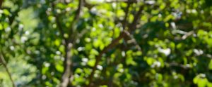 Contattami per lavori sulle case naturali, efficienza energetica ed acustica, domotica, riqualificazione e dianosi energetica con strumentazione, rilievi acustici, problemi di muffa e umidità